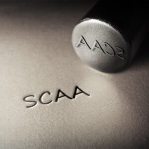 Statuts Syndicat SCAA